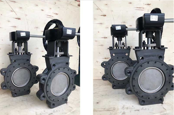 صمام فراشة رقاقة SS316