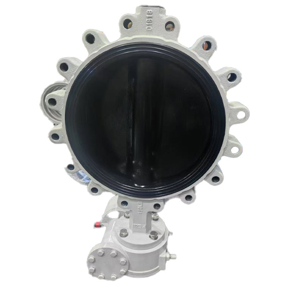 Butterfly valve for seawater
