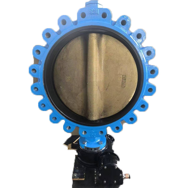 Sea water lug type butterfly valve