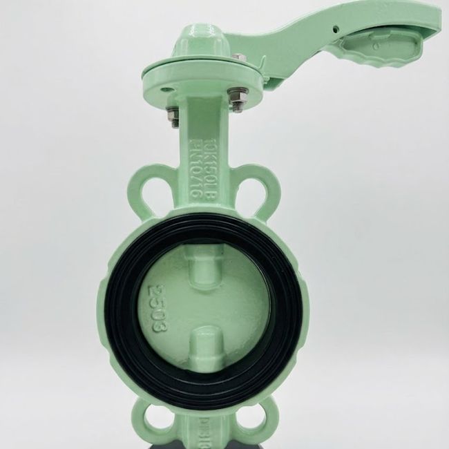 2 Inch Lever Operated Wafer Butterfly Valve