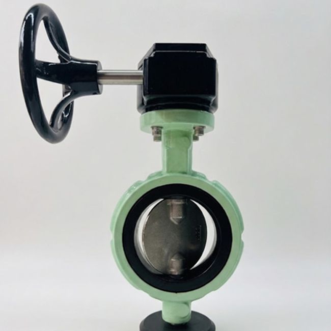 4 Inch Cast Iron Wafer Butterfly Valve with Gearbox