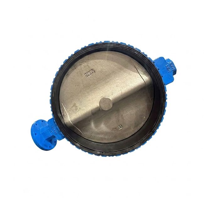 DN800 Cast Iron Vulcanized Wafer Butterfly Valve JIS 10K/5K EPDM Lined Industrial Valve