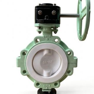 High-Performance Corrosion Resistant Teflon Coated Butterfly Valve