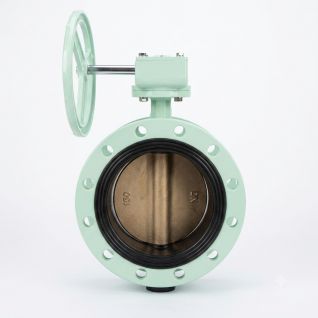 4inch Concentric Flanged End Butterfly Valve with Worm Gear