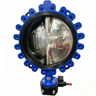 DN500 PN16 CF8M DISC NBR Seat Lugged Style Butterfly Valve with Gearbox